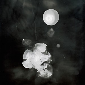 "Blazing Fruits no.21", 2011, ca. 140x100cm, Photogram / Fine Art Print, 1+1 AP