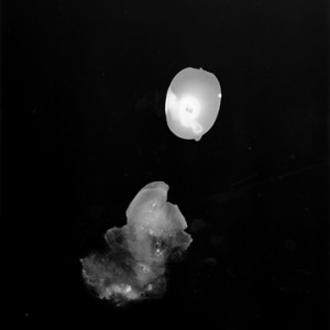 "Blazing Fruits no.23", 2011, ca. 140x100cm, Photogram / Fine Art Print, 1+1 AP