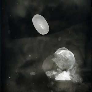 "Blazing Fruits no.24", 2011, ca. 140x100cm, Photogram / Fine Art Print, 1+1 AP