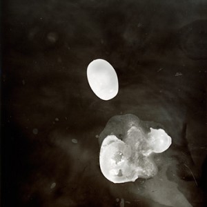 "Blazing Fruits no.25", 2011, ca. 140x100cm, Photogram / Fine Art Print, 1+1 AP