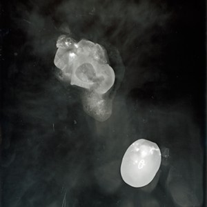 "Blazing Fruits no.26", 2011, ca. 140x100cm, Photogram / Fine Art Print, 1+1 AP