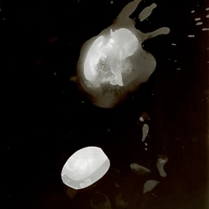 "Blazing Fruits no.27", 2011, ca. 140x100cm, Photogram / Fine Art Print, 1+1 AP