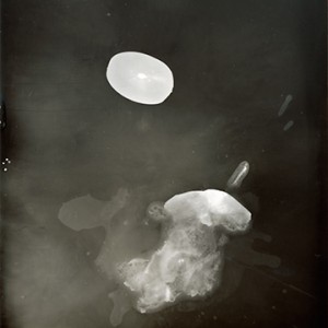 "Blazing Fruits no.28", 2011, ca. 140x100cm, Photogram / Fine Art Print, 1+1 AP