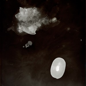 "Blazing Fruits no.29", 2011, ca. 140x100cm, Photogram / Fine Art Print, 1+1 AP