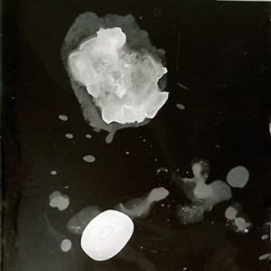 "Blazing Fruits no.30", 2011, ca. 140x100cm, Photogram / Fine Art Print, 1+1 AP