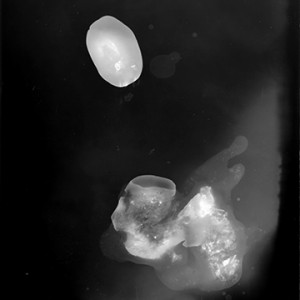 "Blazing Fruits no.31", 2011, ca. 140x100cm, Photogram / Fine Art Print, 1+1 AP