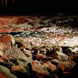 "red rhin", 2003, 100x120cm, C-Print, 2+1AP