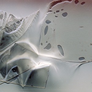 "TSAII no.9", 2014, ca. 80x120cm, photogram on colorfilm/C-Print, 2+1 AP