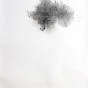 "under water bomb no.10", 2012, ca. 150x106cm, BW Photogram, unique