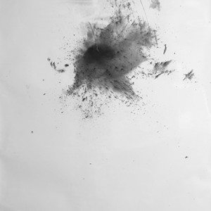 "under water bomb no.7", 2012, ca. 150x106cm, BW Photogram, unique