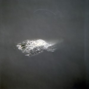 "WALP1", 2011, ca. 80x80cm, C-Print analog, 2+1 AP