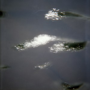 "WALP4", 2011, ca. 80x80cm, C-Print analog, 2+1 AP