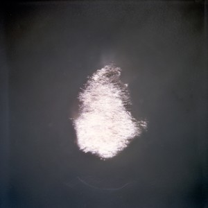 "WALP5", 2011, ca. 80x80cm, C-Print analog, 2+1 AP