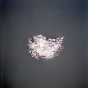 "WALP6", 2011, ca. 80x80cm, C-Print analog, 2+1 AP