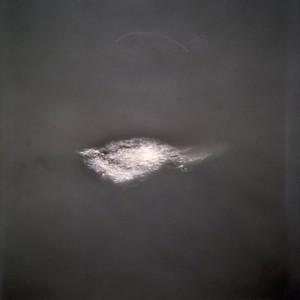 "WALP7", 2011, ca. 80x80cm, C-Print analog, 2+1 AP