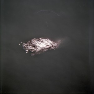 "WALP8", 2011, ca. 80x80cm, C-Print analog, 2+1 AP