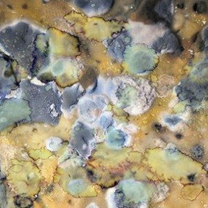 "WATSCASCH no.2", 2011, ca. 100x150cm, scan/Fine Art Print, 2+1 AP
