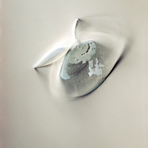 "CLR no.5 (Cristallin_Lumière_Reliques), 2014, ca. 100x80cm, photogram on colorfilm/C-Print, 2+1 AP