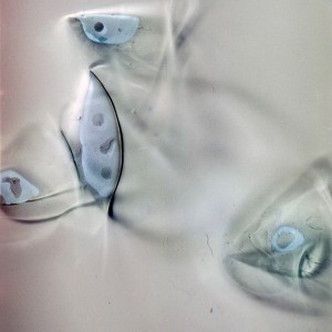 "CLR no.69/2 (Cristallin_Lumière_Reliques), 2014, ca. 100x80cm, photogram on colorfilm/C-Print, 2+1 AP