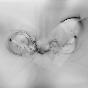 “LC_B no.9", 2015, ca. 110x140cm, Photogramscan / LightJetprint, 2+1 AP