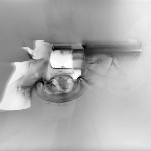 "LGN2_B no.14", 2015, ca. 110x140cm, Photogramscan / LightJetprint, 2+1 AP