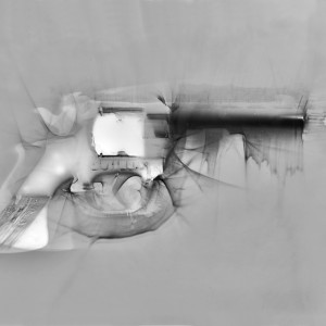 "LGN2_B no.1", 2015, ca. 110x140cm, Photogramscan / LightJetprint, 2+1 AP