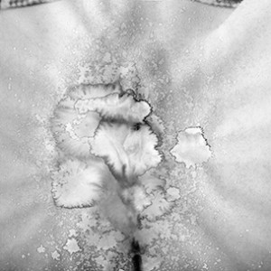 "WATEROTICS no.4", 2011, ca. 100x150cm, scan/Fine Art Print, 2+1 AP