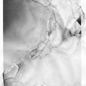 "WATEROTICS no.1", 2011, ca. 150x100cm, scan/Fine Art Print, 2+1 AP