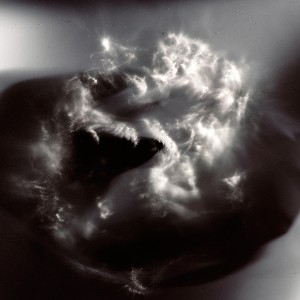 “The roaring stag no.1″, 2015, ca. 100x100cm, photogram on colorfilm/C-Print analog, 2+1 AP