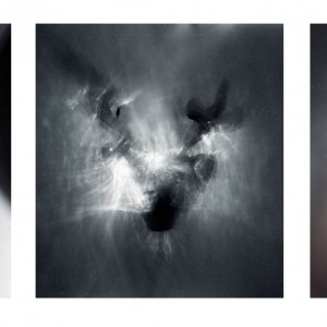 “The Antlers no.4- no.6″, 2015, each ca. 120x90cm, photogram on colorfilm/C-Print analog, 2+1 AP