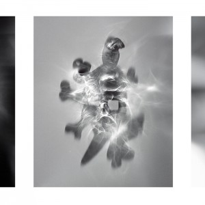 “G.O.D. (Glory or Death) triptych no.1″, 2016, je ca. 120x90cm, photogram on colorfilm/C-Print analog, 2+1 AP