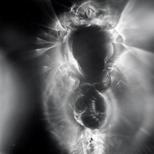 “SPN II no.7″, 2016, ca. 120x90cm, photogram on colorfilm/C-Print analog, 2+1 AP