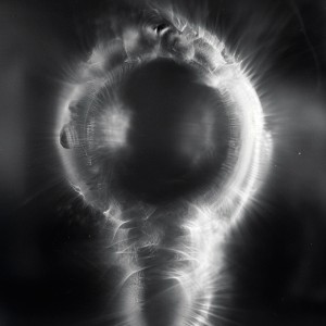 “SPN VII no.7″, 2016, ca. 120x90cm, photogram on colorfilm/C-Print analog, 2+1 AP