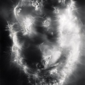 “ANGL no.1″, 2016, ca. 120x90cm, photogram on colorfilm/C-Print analog, 2+1 AP