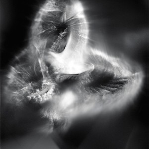 “Aquila No.18″, 2016, ca. 120x90cm, photogram on colorfilm/C-Print analog, 2+1 AP