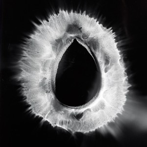 “VAG No.1″, 2016, ca. 120x90cm, photogram on colorfilm/C-Print analog, 2+1 AP