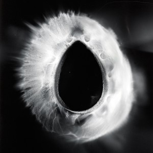 “VAG No.2″, 2016, ca. 120x90cm, photogram on colorfilm/C-Print analog, 2+1 AP