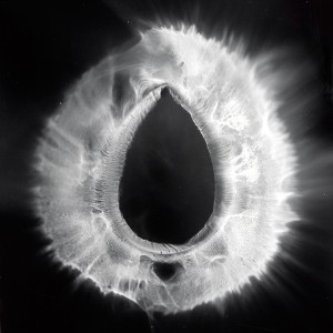 “VAG No.5″, 2016, ca. 120x90cm, photogram on colorfilm/C-Print analog, 2+1 AP