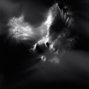 “Aquila II No.14″, 2016, ca. 120x90cm, photogram on colorfilm/C-Print analog, 2+1 AP