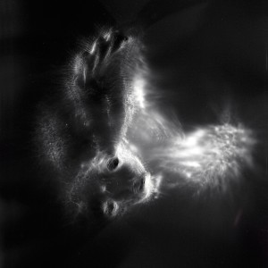 “Aquila II No.2″, 2016, ca. 120x90cm, photogram on colorfilm/C-Print analog, 2+1 AP