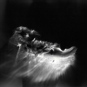 “PNS No.4″, 2016, ca. 90x120cm, photogram on colorfilm/C-Print analog, 2+1 AP