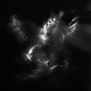 “Aquila III No.3″, 2016, ca. 120x90cm, photogram on colorfilm/C-Print analog, 2+1 AP