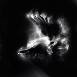 “Aquila II No.21″, 2016, ca. 120x90cm, photogram on colorfilm/C-Print analog, 2+1 AP