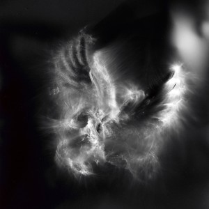 “Aquila II No.22″, 2016, ca. 120x90cm, photogram on colorfilm/C-Print analog, 2+1 AP