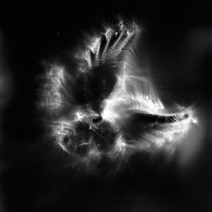 “Aquila II No.19″, 2016, ca. 120x90cm, photogram on colorfilm/C-Print analog, 2+1 AP