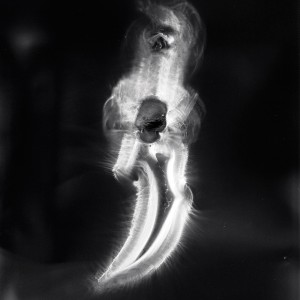 “AZ no.14″, 2016, ca. 130x100cm, photogram on colorfilm/C-Print analog, 2+1 AP