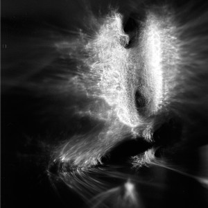 “BT No.1″, 2016, ca. 130x100cm, photogram on colorfilm/C-Print analog, 2+1 AP