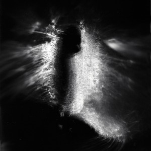 “BT No.3″, 2016, ca. 130x100cm, photogram on colorfilm/C-Print analog, 2+1 AP