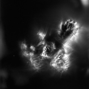 “Aquila IV No.2″, 2016, ca. 120x90cm, photogram on colorfilm/C-Print analog, 2+1 AP