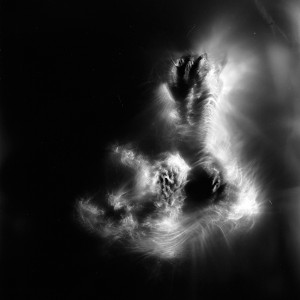 “Aquila IV No.3″, 2016, ca. 120x90cm, photogram on colorfilm/C-Print analog, 2+1 AP